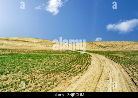 Unbefestigte Straßenkurve in der Thar Wüste Stockfoto