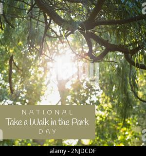 Composite aus National Take a Walk in the Park Day Text in grauem Rechteck über unscharfen Bäumen Stockfoto