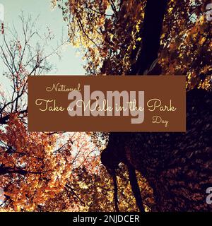 Composite aus National Take a Walk in the Park Day Text in braunem Rechteck vor Bäumen im Wald Stockfoto