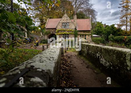 Altes Steinhaus mit Schieferdach zwischen Bäumen, eine Trockenmauer vorne, nahe Harrogate, North Yorkshire Stockfoto