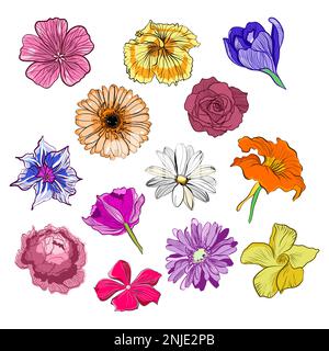 Vektorabbildung mit Blumenköpfen Stock Vektor