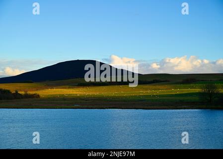 Harperrig Reservoir Pentland Hills in der Nähe von Edinburgh Stockfoto