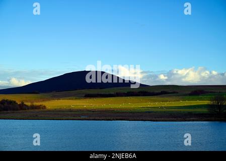 Harperrig Reservoir Pentland Hills in der Nähe von Edinburgh Stockfoto