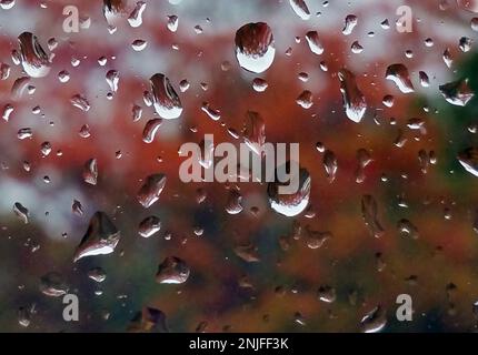 Regentropfen an einem Fenster mit abstrakten bunten Blättern im Hintergrund Stockfoto