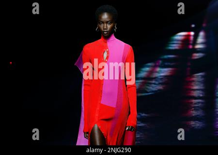Mailand, Italien. 22. Februar 2023. FENDI Herbst-Winter 2023-2024 Runway während der Mailänder Fashion Week am 2023. Februar in Mailand; Italien 22/02/2023 Guthaben: dpa/Alamy Live News Stockfoto