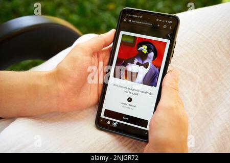 5. Februar 2023, Mirissa, Sri Lanka. OpenAI DALL-E wird auf dem Telefon verwendet. Frau testet künstliche Intelligenz Bildgenerator. Person, die Bilder erstellt Stockfoto