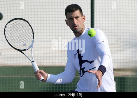 Belgrad. 22. Februar 2023. Serbiens Novak Djokovic gibt den Ball während der offenen Trainingssitzung am 22. Februar 2023 in Belgrad, Serbien, zurück. Kredit: Predrag Milosavljevic/Xinhua/Alamy Live News Stockfoto