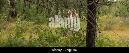 Soldaten der Bravo Company, 1. Bataillon, 125. Infanterie-Regiment, Michigan National Guard, nehmen an einer Such- und Genesungsübung am Northern Strike 22-2 in Grayling, Michigan, 8. August 2022 Teil. Northern Strike konzentriert sich auf die Fähigkeit der Streitkräfte, die Krieger in jeder Umgebung des Kontinuums auszubilden, damit unsere Nation heute und morgen konkurrieren, abschrecken und gewinnen kann. Stockfoto