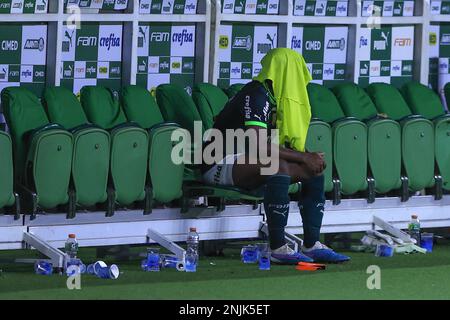 Sao Paulo, Brasilien. 23. Februar 2023. SP - Sao Paulo - 02/22/2023 - PAULISTA 2023, PALMEIRAS X BRAGANTINO - Endrick-Spieler von Palmeiras während eines Spiels gegen Bragantino im Arena Allianz Parque Stadion für die Paulista 2023 Meisterschaft. Foto: Marcello Zambrana/AGIF/Sipa USA Kredit: SIPA USA/Alamy Live News Stockfoto