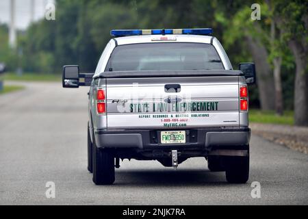 Davie, Vereinigte Staaten Von Amerika. 08. Juni 2018. DAVIE, FL - JUNI 08: Arm im Alligator gefunden, der aus dem Davie Lake gezogen wurde; Frau, die vermutlich tot ist - Frau verschwindet, während sie mit Hunden im Silver Lakes Rotary Nature Park spaziert. Hinweis: Es wurden keine Gefahrenschilder angebracht und die Bewohner behaupten, die Behörden von Fort Lauderdale wüssten, dass der tödliche Alligator am 8. Juni 2018 in Miami Beach, Florida, war. Leute: Woman Dead Credit: Storms Media Group/Alamy Live News Stockfoto