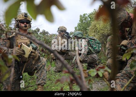 Timor-Leste (13. Februar 2023) – USA Marines, die dem Landungsteam 2/4 des Bataillons, der 13. Marine Expeditionary Unit, und Timor-Leste Corpo De Fuzileiros zugeteilt wurden, koordinieren sich im Rahmen eines Luftangriffs während der Kooperationsbereitschaft und Ausbildung/Marine-Übung Timor-Leste 2023 in Timor-Leste, Februar 13. CARAT/MAREX Timor-Leste ist eine bilaterale Übung zwischen Timor-Leste und den Vereinigten Staaten, die darauf abzielt, die regionale Sicherheitszusammenarbeit zu fördern, maritime Partnerschaften aufrechtzuerhalten und zu stärken und die maritime Interoperabilität zu verbessern. Im 28. Jahr besteht die KARAT-Serie aus multinationalen Übungen, de Stockfoto