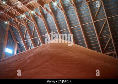 Gießen von roten Phosphatdüngern auf Stapel im Lagerhaus Stockfoto