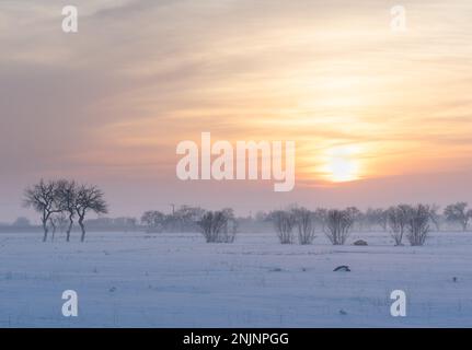 Himmel wunderschöne Farbe im Nebel Winter und schneebedeckte Tage mit blattlosen Bäumen Stockfoto