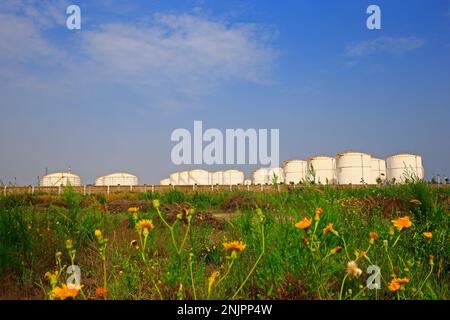 Öllagertank, Industrieanlagen Stockfoto