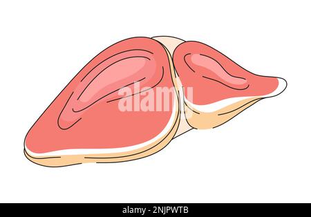 Lebersymbol in der Spielerei. World Hepatitis Day Concept Vector. Medizinische Illustration für Website- und mobile Website-Entwicklung. Stock Vektor