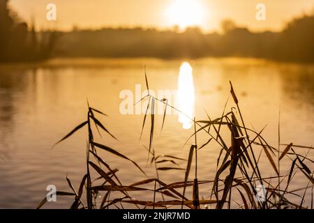 Watford-Fotografie in der Umgebung, England, Großbritannien Stockfoto