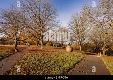 Watford-Fotografie in der Umgebung, England, Großbritannien Stockfoto