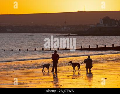 Portobello, Edinburgh, Schottland, Großbritannien. 23. Februar 2023 Schnappschüsse für diese zwei Hundefreunde am Meer am Firth of Forth, die Fotos von ihren beiden Hundebegleitern machen. Nippiettemperatur von minus 2 Grad Celsius. Kredit: Archwhite/alamy Live News. Stockfoto