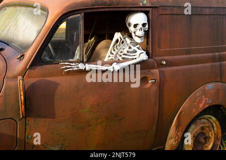 Menschliches Skelett, das in einem rostigen alten Auto sitzt und aus dem Fenster schaut Stockfoto