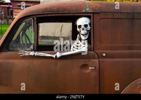 Menschliches Skelett, das in einem rostigen alten Auto sitzt und aus dem Fenster schaut Stockfoto