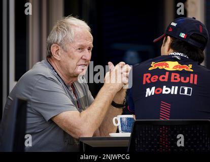 BAHRAIN - Helmut Marko (Red Bull Racing) spricht mit Sergio Perez (Red Bull Racing) am ersten Testtag auf der Bahrain International Circuit vor Beginn der Formel 1 Saison. ANP SEM VAN DER WAL Stockfoto