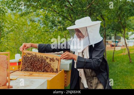 Hidschab-Araberin, die die Honigqualität auf der großen Bienenfarm prüft, in die sie investiert hat Stockfoto