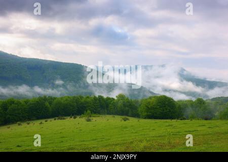 Ländliche Berglandschaft. Grüne Wiesen und bewaldete Hügel im Frühling. Nebeliger Morgen mit bewölktem Himmel Stockfoto