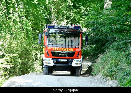 Die Feuerwehr verbreitert vorhandene Wege zu Brandwegen damit den Wald auch mit Loeschfahrzeugen befahren kann. Stirbt ist wichtig in Zeiten der tro Stockfoto