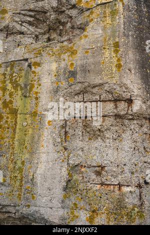 Alte deutsche Bunker in Utah Beach, Frankreich. Stockfoto