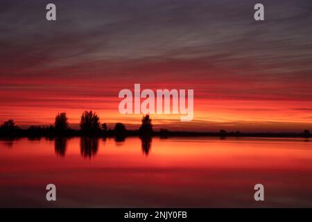 Roter Himmel nach Sonnenuntergang über dem Oostvaardersplassen, Niederlande, Flevoland, Lelystad Stockfoto