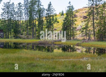 Der Naturpark Trudner Horn (italienisch: Parco naturale Monte Corno) ist ein Naturschutzgebiet südlich von Bozen in Südtirol, Italien. Schwarzer See Stockfoto