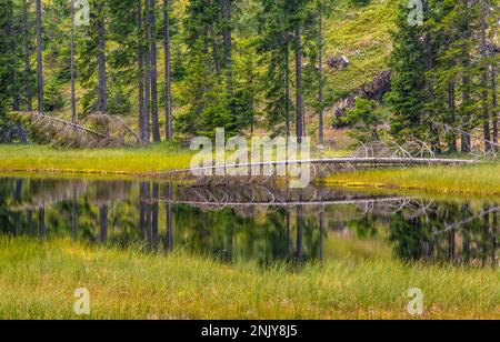 Der Naturpark Trudner Horn (italienisch: Parco naturale Monte Corno) ist ein Naturschutzgebiet südlich von Bozen in Südtirol, Italien. Schwarzer See Stockfoto