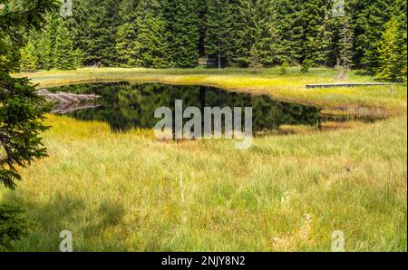 Der Naturpark Trudner Horn (italienisch: Parco naturale Monte Corno) ist ein Naturschutzgebiet südlich von Bozen in Südtirol, Italien. Schwarzer See Stockfoto