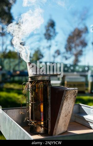 Bienenraucher aus Metall mit einem Rauch, der auf einem Holzständer in einer sonnigen Bienenstöcke gegen Bäume platziert wird Stockfoto