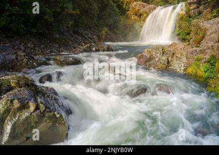 Malerischer Blick auf die schnellen Tawhai Falls zwischen grünen Bäumen im Tongariro National Park an sonnigen Tagen Stockfoto