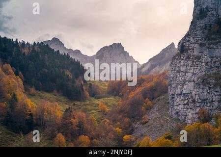 Malerischer Blick auf farbenfrohe Herbstbäume, die auf einem Hügel in der Nähe des Berges unter bewölktem Himmel wachsen Stockfoto