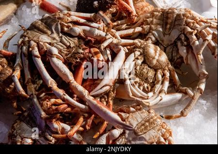 Frische Krabben auf dem Tisch mit Eis auf dem Fischmarkt Stockfoto