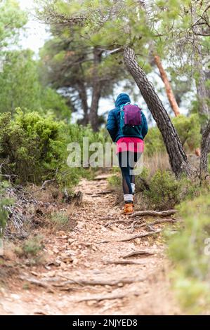 Rückblick auf eine anonyme Reisende in blauer Jacke und Leggings mit Rucksack, die auf einem schmalem Pfad auf einem felsigen Wurzelhügel in der Nähe von Bäumen hinaufgeht Stockfoto