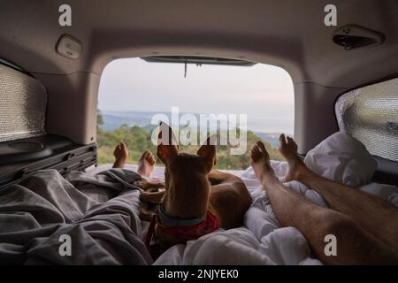 Beine voller Ernte Unbekanntes Paar von Reisenden, die auf weicher Matratze mit weißer Bettwäsche neben gehorsamem basenji-Hund liegen und den Sonnenuntergang und Pictu genießen Stockfoto