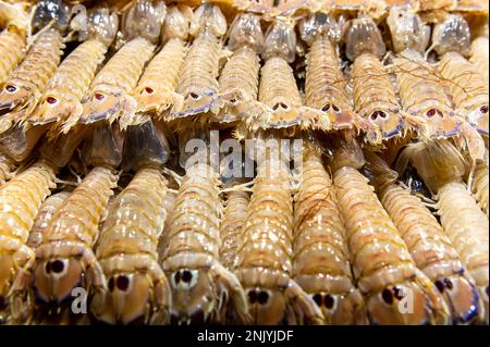 Frische Mantis-Garnelen auf dem Tisch auf dem Fischmarkt Stockfoto