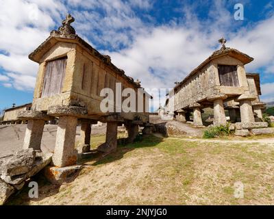 Die Getreidekörner von Soajo oder Espigueiros de Soajo in Portugal. Diese schmalen Steinkörner werden seit Hunderten von Jahren zum Lagern und Trocknen von Getreide verwendet. Stockfoto