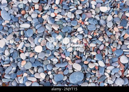 Seekies verschiedener Formen und Farben am Ufer. Nahaufnahme, hohe Auflösung und sehr detailreiche Fotos (natürlicher Steinhintergrund) Stockfoto