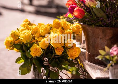 Verschiedene Blumen und Setzlinge in der Nähe des Eingangs zum Blumenladen, Frühling, osterkonzept Stockfoto