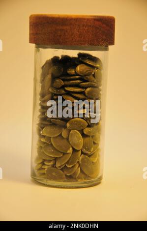 Sonnenblumenkerne bei warmem Licht Stockfoto