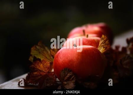 Herbstrote Äpfel liegen auf dem Holzbrett, mit Wolfsbeerblättern, dunkler Hintergrund Stockfoto