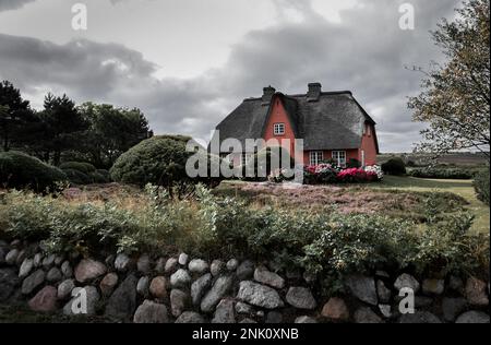 Strohdachhaus in Wenningstedt, Sylt, Deutschland Stockfoto
