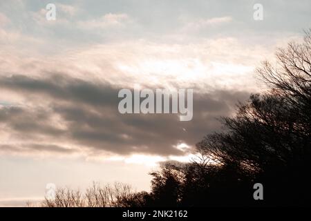 Silhouette aus Bäumen und Sträuchern im Vordergrund vor dem Hintergrund eines wunderschönen Himmels Stockfoto