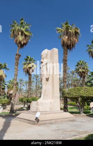 Statue von Ramesses II, 1279-1213 v. Chr., roter Granit, mit Rahina Museum, Memphis, Ägypten Stockfoto