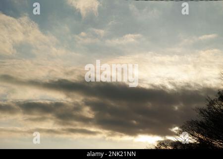 Silhouette aus Bäumen und Sträuchern im Vordergrund vor dem Hintergrund eines wunderschönen Himmels Stockfoto