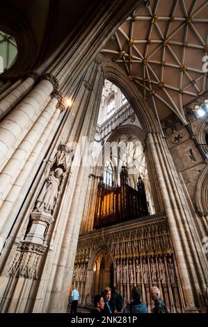 Leinwand, Gewölbedach, Orgelfinale und spitz-gotische Bögen des York Minster in York, England. Stockfoto